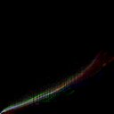 jpg-lin_raw-o1-w_rgb_thumb