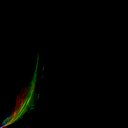 jpg_raw-o1-r1_rgb_thumb