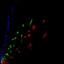 c2raw-wb2i1e4_c6raw-wb1i2e4_rgb_thumb