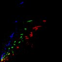 c2raw-wb2i2e4_c6raw-wb1i1e4_rgb_thumb