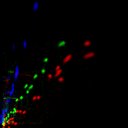 c2raw-wb2i1e4_c6raw-wb1i1e4_rgb_thumb