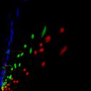 c2raw-wb2i1e4_c6raw-wb1i2e4_rgb_thumb