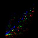 c0wb1i1e3-jpg_c6wb1i1e3-jpg_rgb_thumb