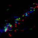 c4wb1i1e3-jpg_c5wb1i1e3-jpg_rgb_thumb