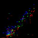c5wb1i1e3-jpg_c6wb1i1e3-jpg_rgb_thumb