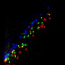 c1wb1i1e3-jpg_c6wb1i1e3-jpg_rgb_thumb