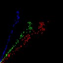 c2raw-wb2i1e4_c2raw-wb1i2e4_rgb_thumb
