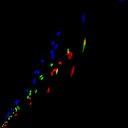 c6raw-wb1i1e4_c6raw-wb1i2e4_rgb_thumb