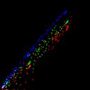c1wb1i1e3-jpg_c6wb1i1e3-jpg_rgb_thumb