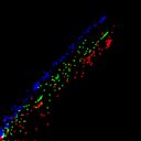 c2wb1i1e3-jpg_c6wb1i1e3-jpg_rgb_thumb