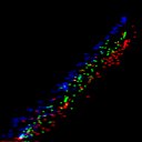 c5wb1i1e3-jpg_c6wb1i1e3-jpg_rgb_thumb