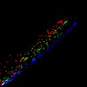 c6wb1i1e3-jpg_c1wb1i1e3-jpg_rgb_thumb