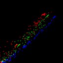 c6wb1i1e3-jpg_c2wb1i1e3-jpg_rgb_thumb