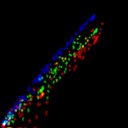c1wb1i1e3-jpg_c6wb1i1e3-jpg_rgb_thumb