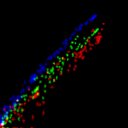 c2wb1i1e3-jpg_c6wb1i1e3-jpg_rgb_thumb