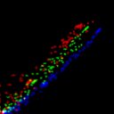 c6wb1i1e3-jpg_c2wb1i1e3-jpg_rgb_thumb