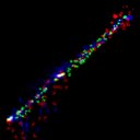 c4wb1i1e3-jpg_c5wb1i1e3-jpg_rgb_thumb