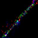 c5wb1i1e3-jpg_c4wb1i1e3-jpg_rgb_thumb