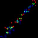 c5wb1i1e3-jpg_c4wb1i1e3-jpg_rgb_thumb