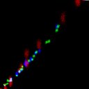 c5wb1i1e3-raw_c4wb1i1e3-raw_rgb_thumb