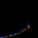 c2jpg-wb1i1e3_c2raw-wb1i2e3_rgb_thumb