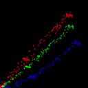 c2jpg-wb1i2e3_c2jpg-wb2i1e3_rgb_thumb