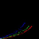 c2jpg-wb2i2e3_c2raw-wb1i2e3_rgb_thumb