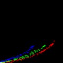 c2jpg-wb2i1e3_c2raw-wb1i1e3_rgb_thumb