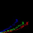 c2jpg-wb2i1e3_c2raw-wb1i2e3_rgb_thumb