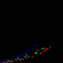 c2jpg-wb2i2e3_c2raw-wb1i2e3_rgb_thumb