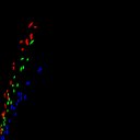 c2raw-wb1i2e3_c2jpg-wb2i1e3_rgb_thumb
