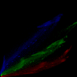 rgb histogram