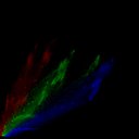 jpglin-i3_wb1_exp1_raw-i2_wb1_exp1_rgb_thumb